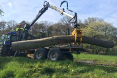 Auslegerkran hebt Baum, Baumfällung, Gefahrbaumbeseitigung, Häcksler, Kaminholz, Motorsäge